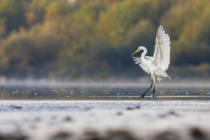 Fot. Daniel Kopacz